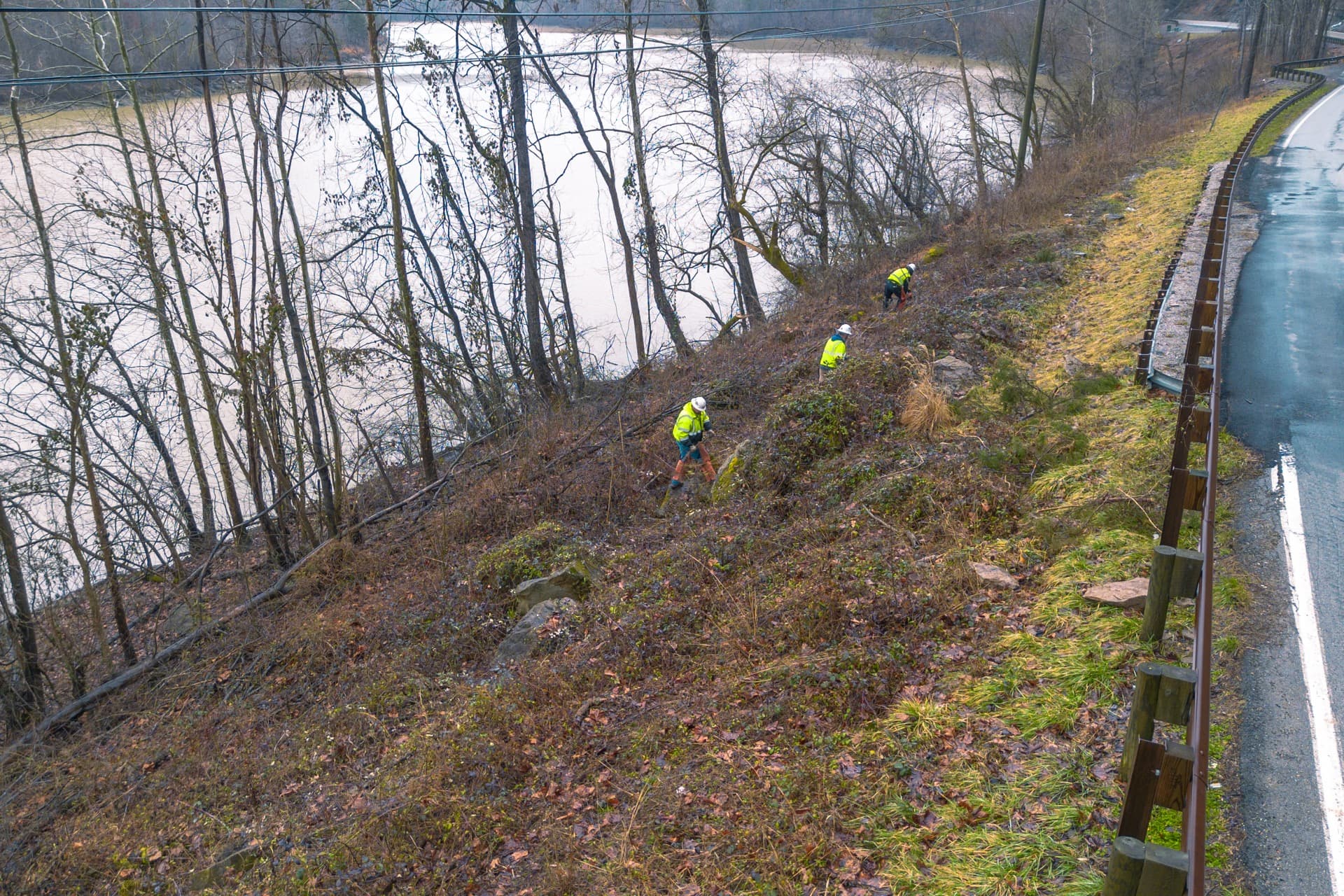Aerial view of right-of-way vegetation clearing