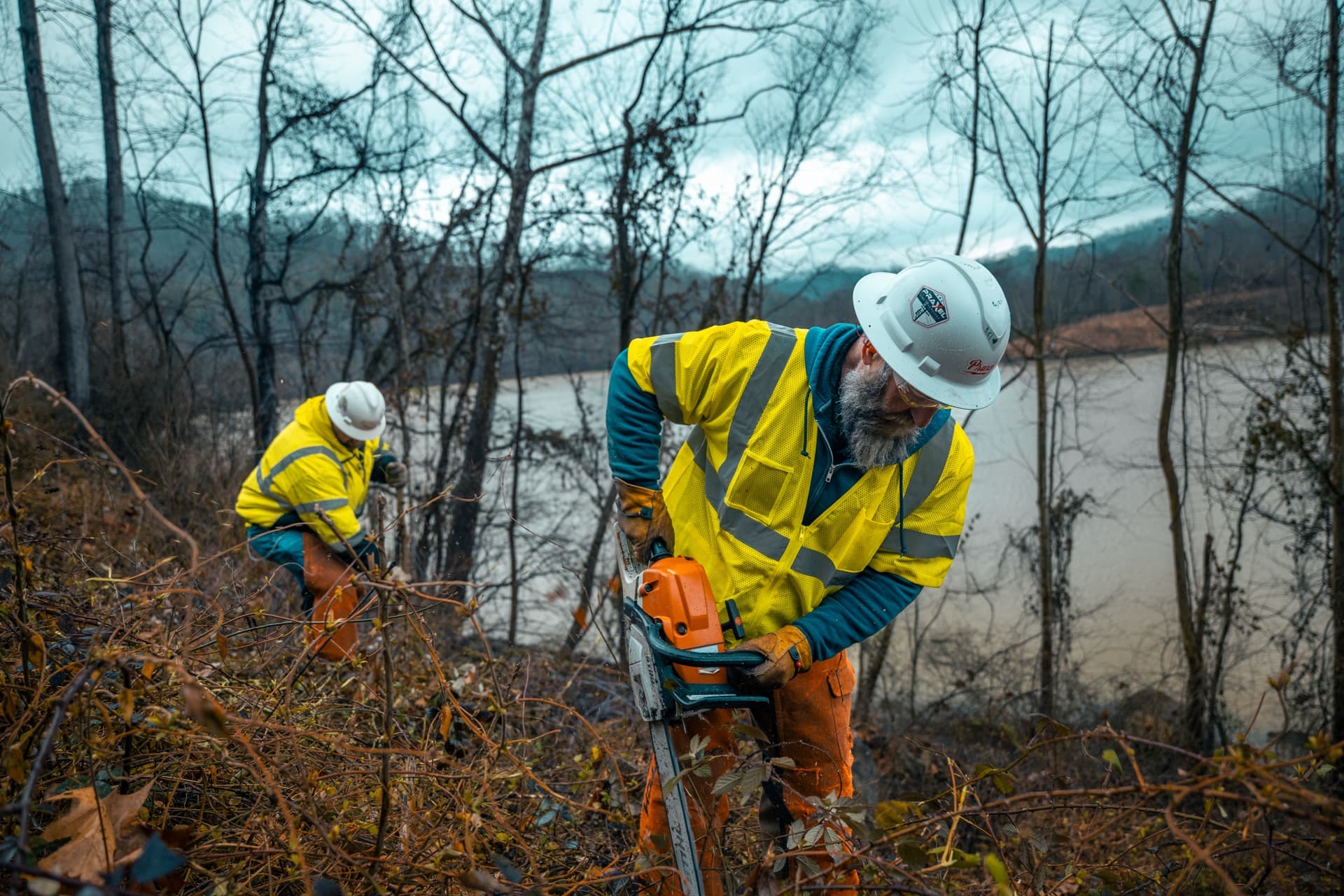 Crew member with chainsaw clearing vegetation on right-of-way